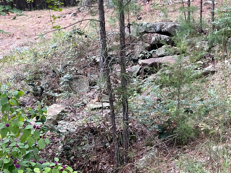 More Photos Of 27546 Reservation Rd, Daisy Land For Sale