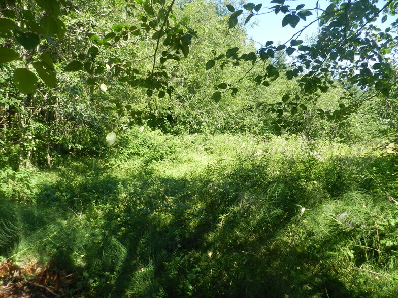 More Photos Of 7th, Poulsbo, WA 98370, Poulsbo Land For Sale