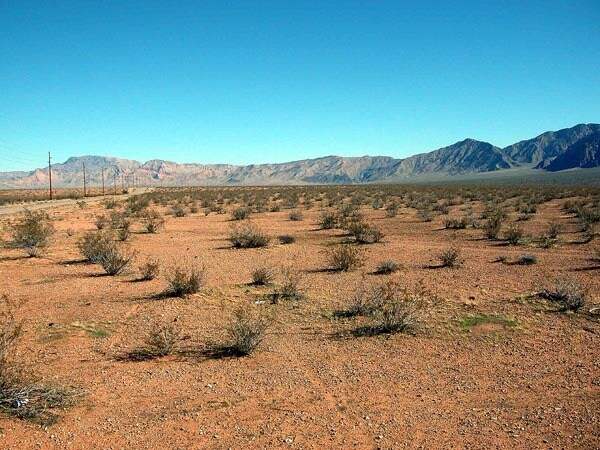 More Photos Of 590 N Virgin Acres Blvd, Littlefield Land For Sale