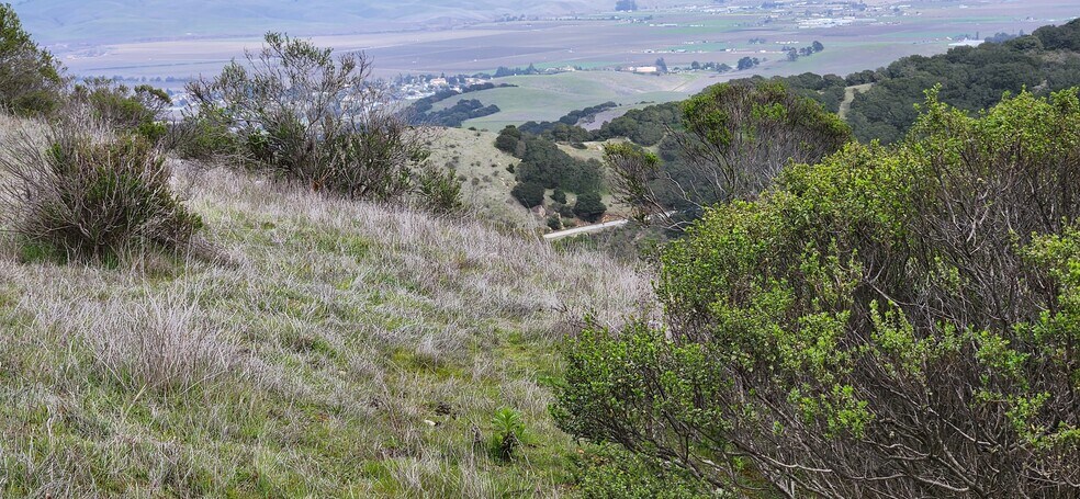 More Photos Of Salinas Road Hwy, San Juan Bautista Land For Sale