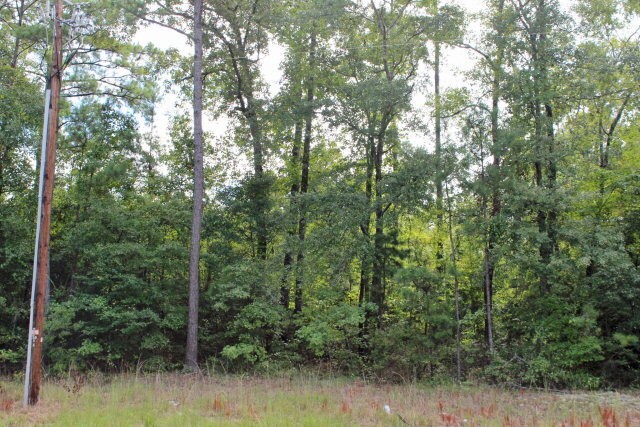 More Photos Of 7100 Jamesson Ct, Columbus Land For Sale