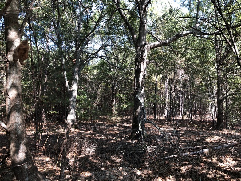 More Photos Of 5645 GA Highway 20, Loganville Land For Sale
