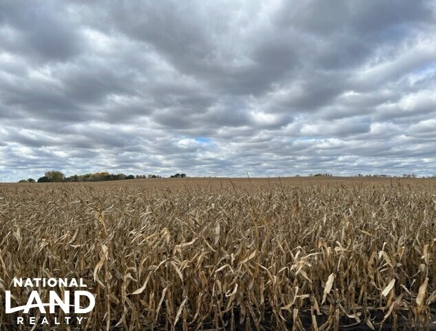 More Photos Of 820 Johnson Ave SW, Cokato Land For Sale