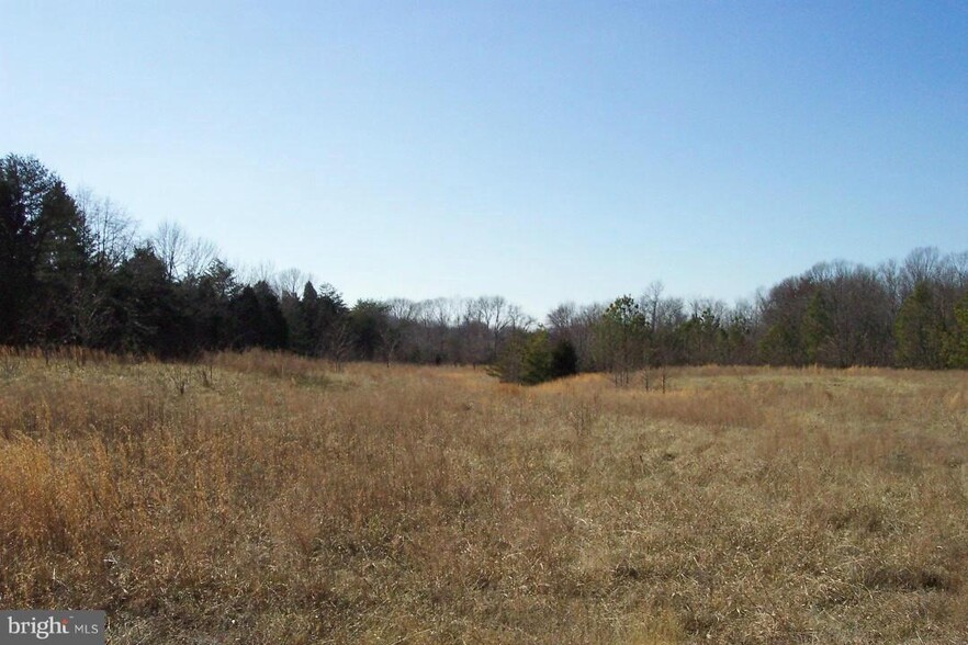 Primary Photo Of Crain Highway, La Plata Land For Sale