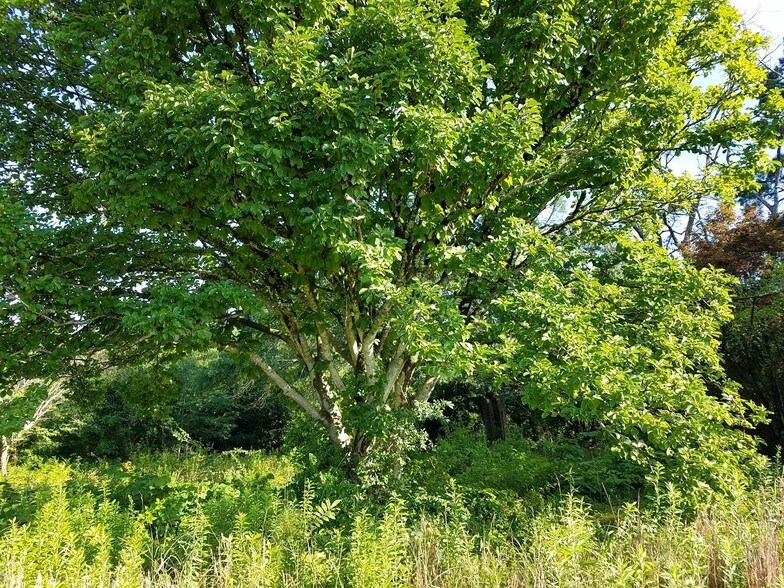 More Photos Of 3799 Cumming Hwy, Canton Land For Sale