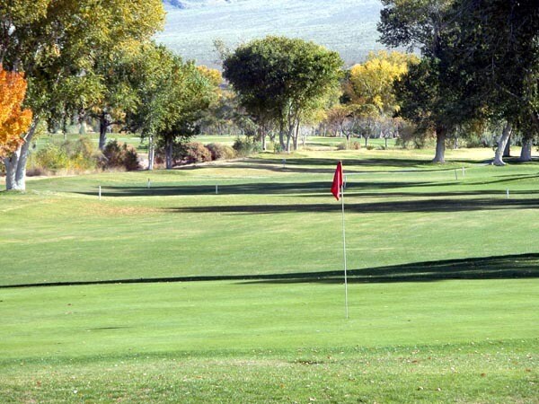 More Photos Of 590 N Virgin Acres Blvd, Littlefield Land For Sale