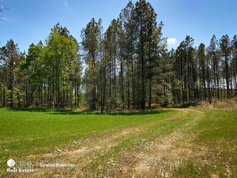 More Photos Of 1084 Stoney Pointe, Lexington Land For Sale
