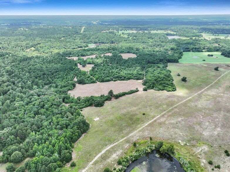 More Photos Of 8323 County Road 292, Buffalo Land For Sale
