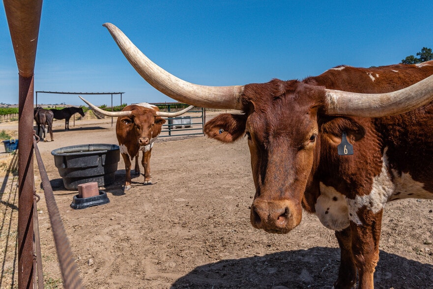 More Photos Of 7790 Airport Rd, Paso Robles Land For Sale