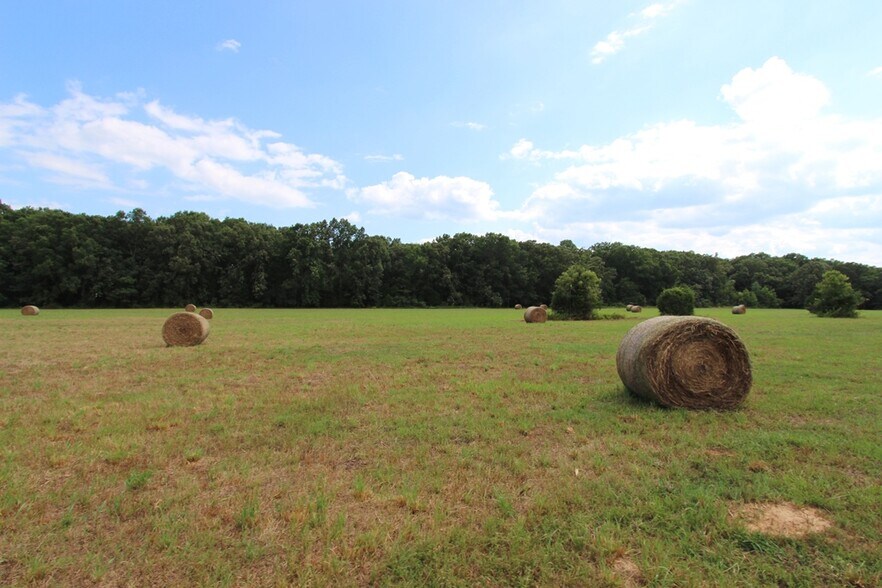 More Photos Of 278 Highway 64 E, Conway Land For Sale