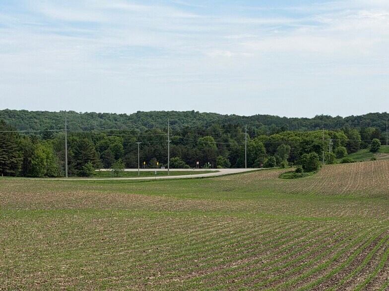 More Photos Of TBD 31st NW Ave @ HWY 52/75th Street NW, Oronoco Land For Sale