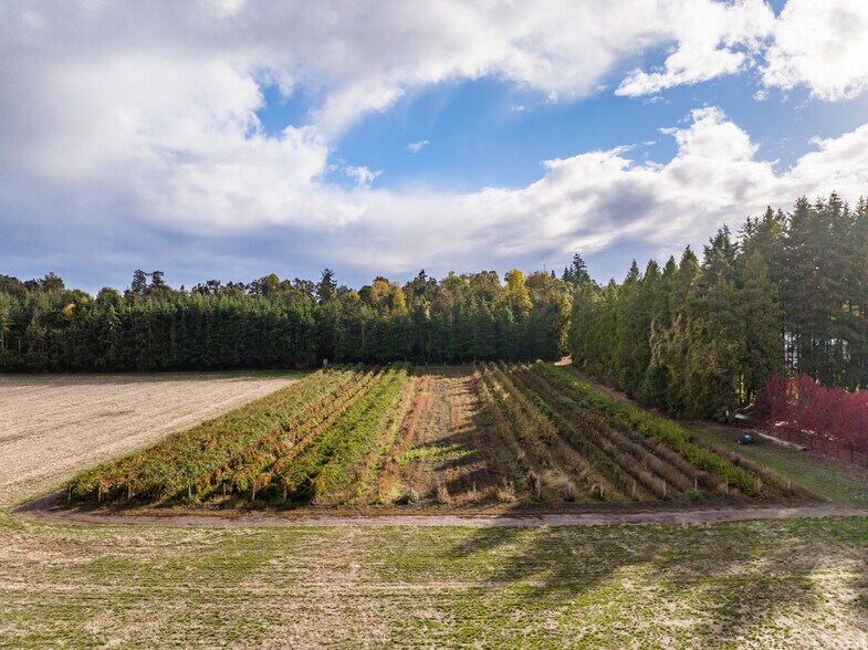 More Photos Of 37486 S Highway 213, Mount Angel Land For Sale