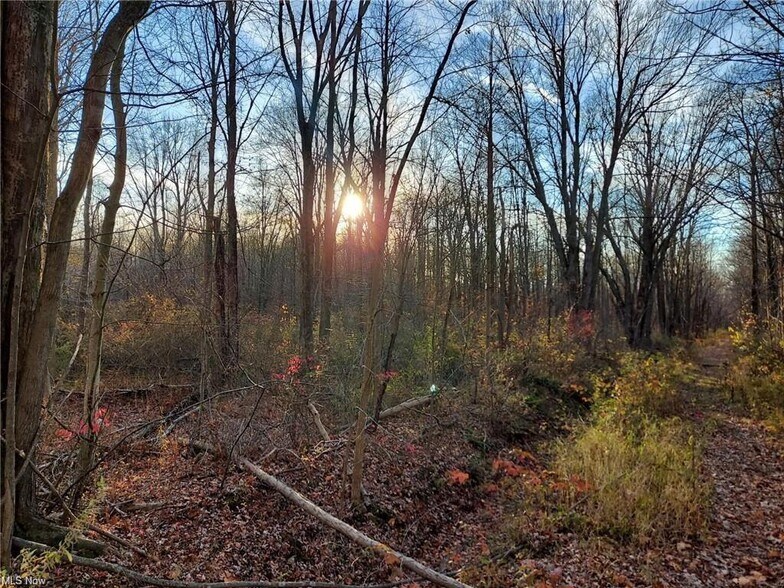 More Photos Of Magnolia Dr, Madison Land For Sale
