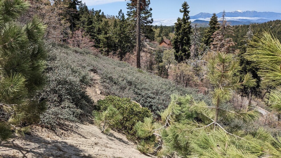 More Photos Of 0 San Antonio, Green Valley Lake Land For Sale