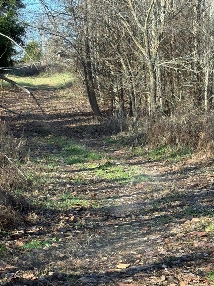 More Photos Of 4604 Summersville Rd, Campbellsville Land For Sale