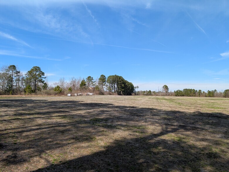 More Photos Of 522 Plum Nearly Ln, Trenton Land For Sale
