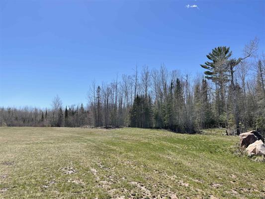 More Photos Of TBD Michigan 28, Deerton Land For Sale