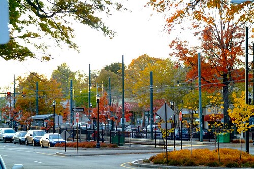 More Photos Of 1680 Beacon St, Brookline Apartments For Lease