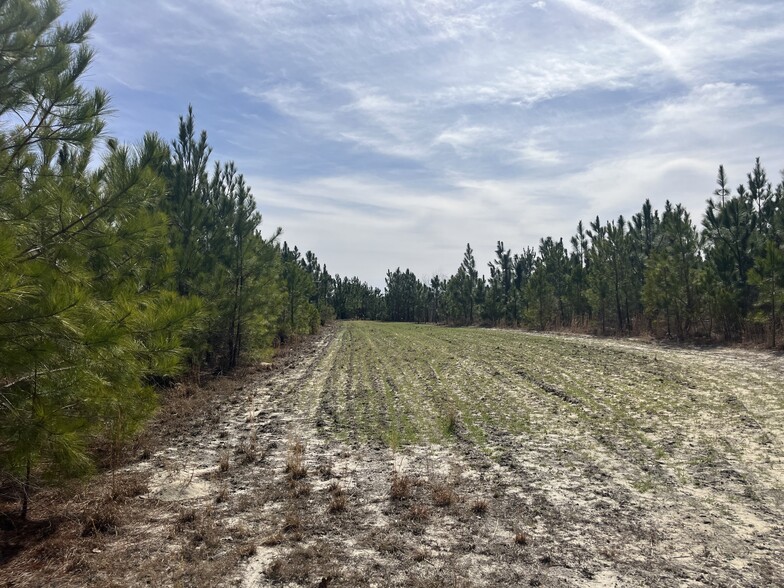 Primary Photo Of TBD US 15-501 Hwy, Pinehurst Land For Sale