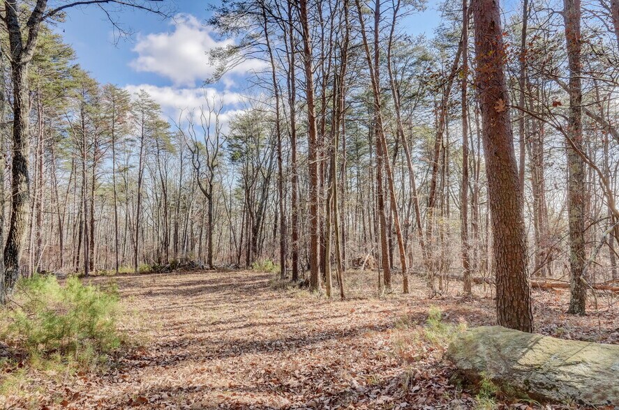 More Photos Of 1915 Tower Trl, Waleska Land For Sale