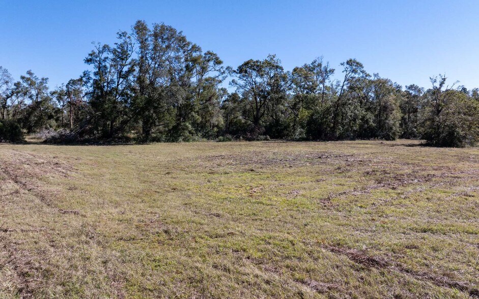 More Photos Of TBD Miller Street SE, Live Oak Land For Sale