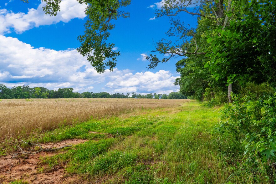 More Photos Of 1013 Amber Stapp Studdard Rd, Social Circle Land For Sale