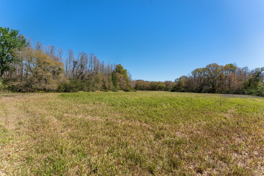 More Photos Of State Road 54, Land O' Lakes Land For Sale