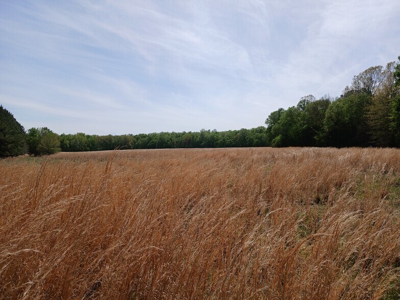 More Photos Of 414000 E 1920 Rd, Antlers Land For Sale