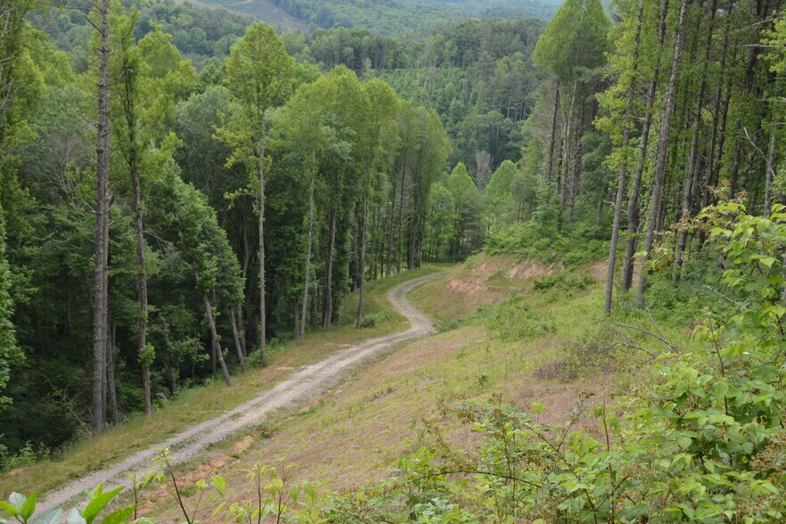 More Photos Of 6421 Highway 91 N, Laurel Bloomery Warehouse For Sale