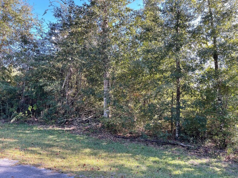 More Photos Of 5320 Indian Bluff dr, Youngstown Land For Sale