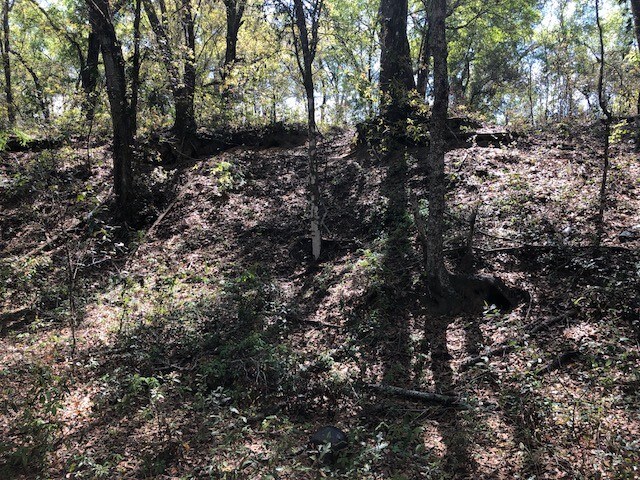 More Photos Of 2001 N Highway 41 Hwy, Inverness Land For Sale