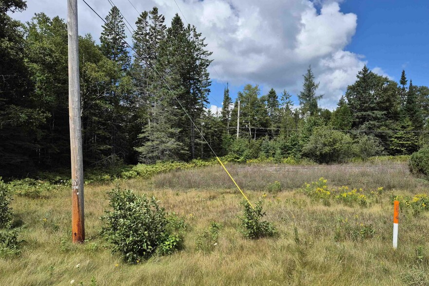 More Photos Of 6838 US-2 Hwy, Manistique Land For Sale