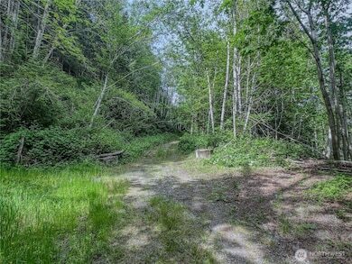 More Photos Of N US Hwy 101, Lilliwaup Land For Sale