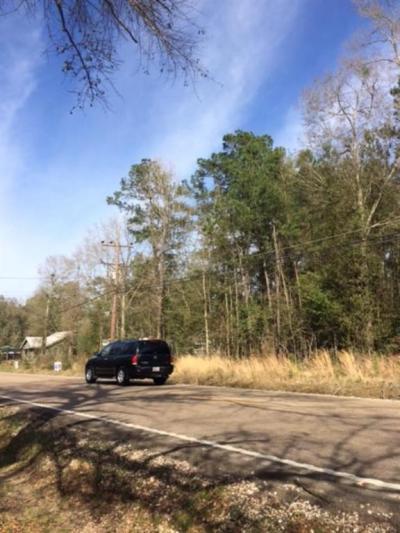 More Photos Of Lee Rd- Hwy 437, Covington Land For Sale