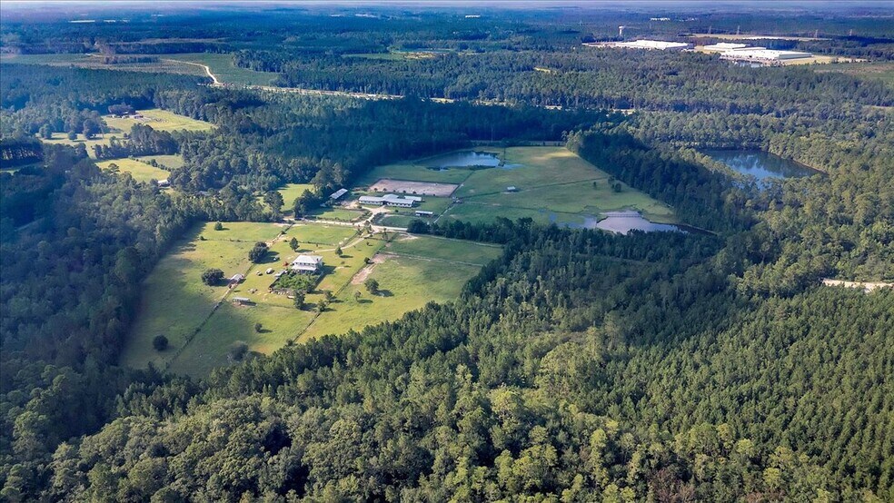 More Photos Of 1075 Osteen Rd, Bloomingdale Land For Sale