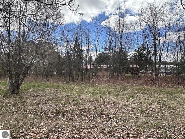 More Photos Of 00 Thayer Ln, Bellaire Land For Sale