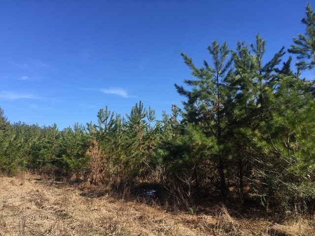 Highway 59 Old Riv Rd