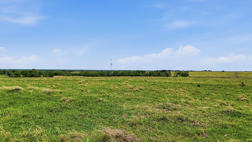 More Photos Of 562 Lazy S Ranch Road, Gunter Land For Sale