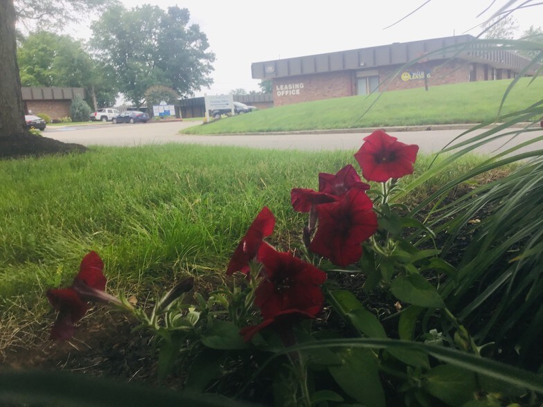 More Photos Of 2346 S Lynhurst Dr, Indianapolis Office For Lease