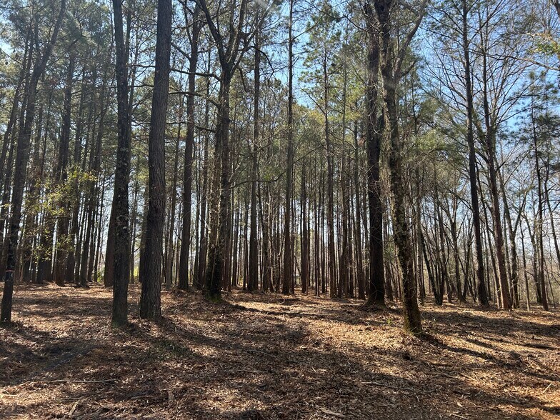 More Photos Of Victoria Blvd, Winnabow Land For Sale