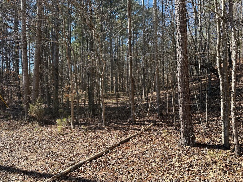 More Photos Of 3472 Prior Station Rd, Cedartown Land For Sale