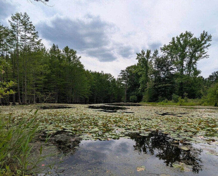 More Photos Of Balfour Road & McNeill Lake Rd, Lumber Bridge Land For Sale