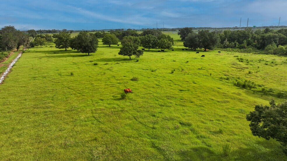 More Photos Of Braddock RD @ Polk Parkway, Auburndale Land For Sale