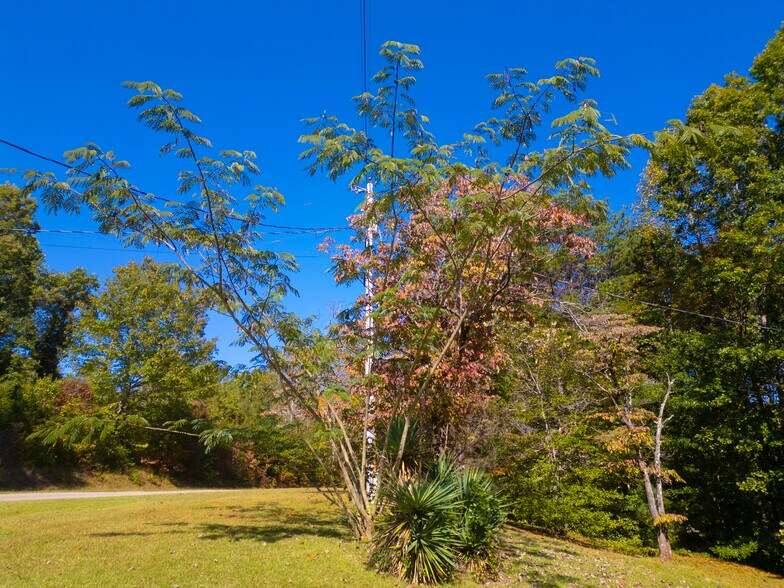 More Photos Of 000 Oconee Station Road, Walhalla Land For Sale