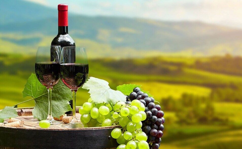 More Photos Of 7539 Pleasants Valley Rd, Vacaville Specialty For Sale