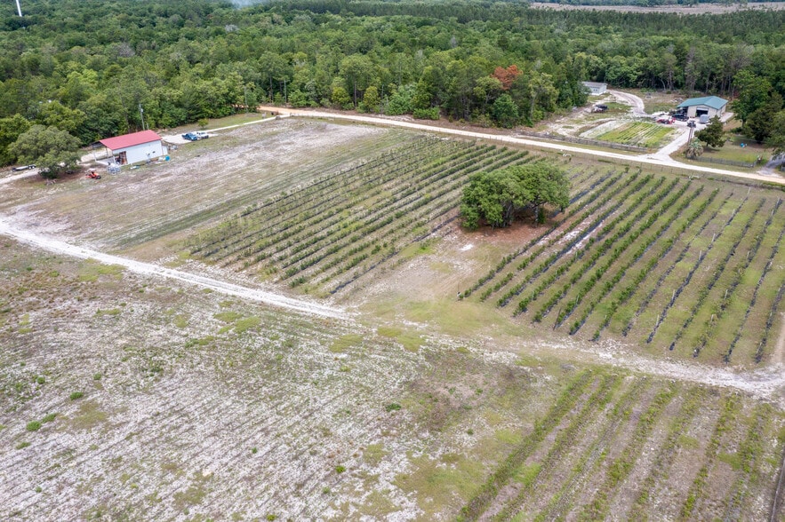 More Photos Of 130 Strawberry ln, Pomona Park Land For Sale