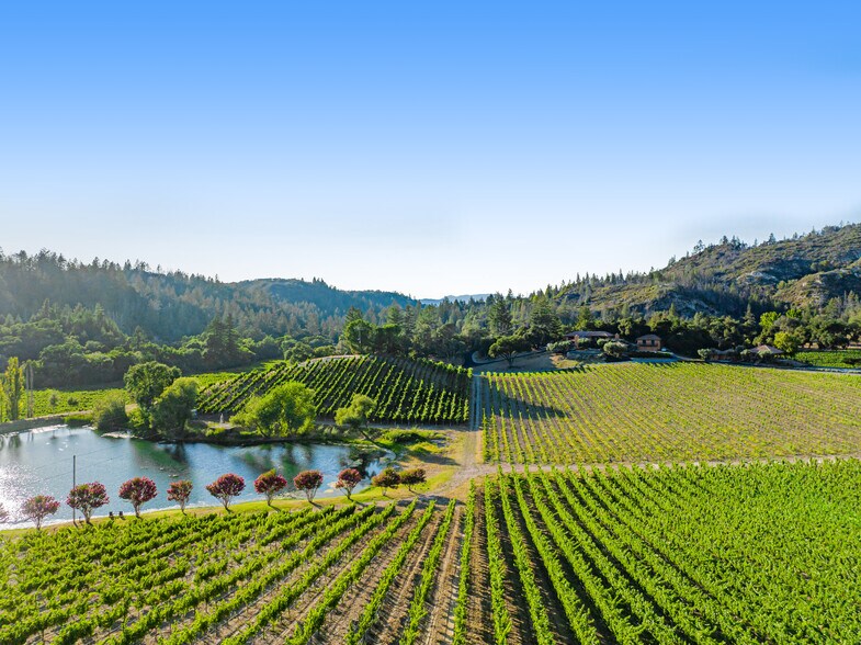 More Photos Of 8320 Franz Valley Rd, Calistoga Land For Sale
