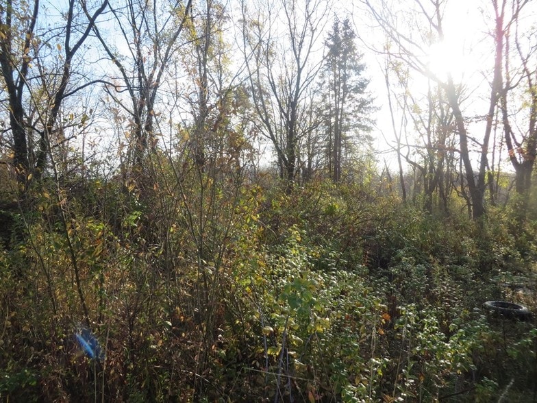 More Photos Of 0 Andrew Mountain Rd, Naugatuck Land For Sale