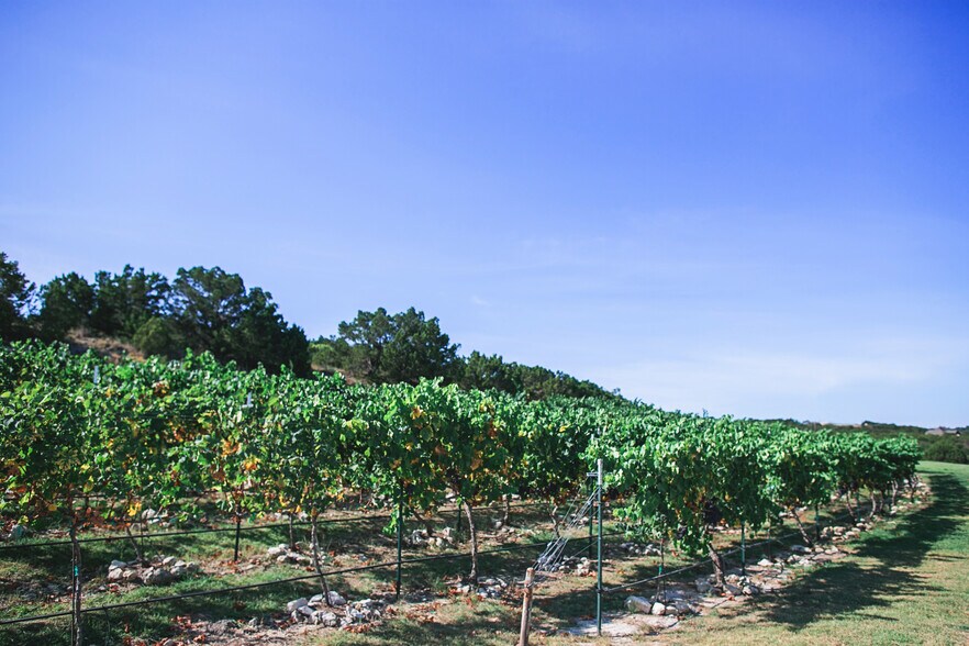 More Photos Of 6000 Tucker Dr, Weatherford Winery Vineyard For Sale