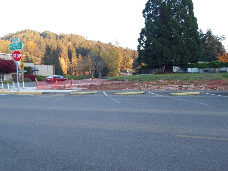 More Photos Of 14802 State Hwy OR-38, Elkton Land For Sale